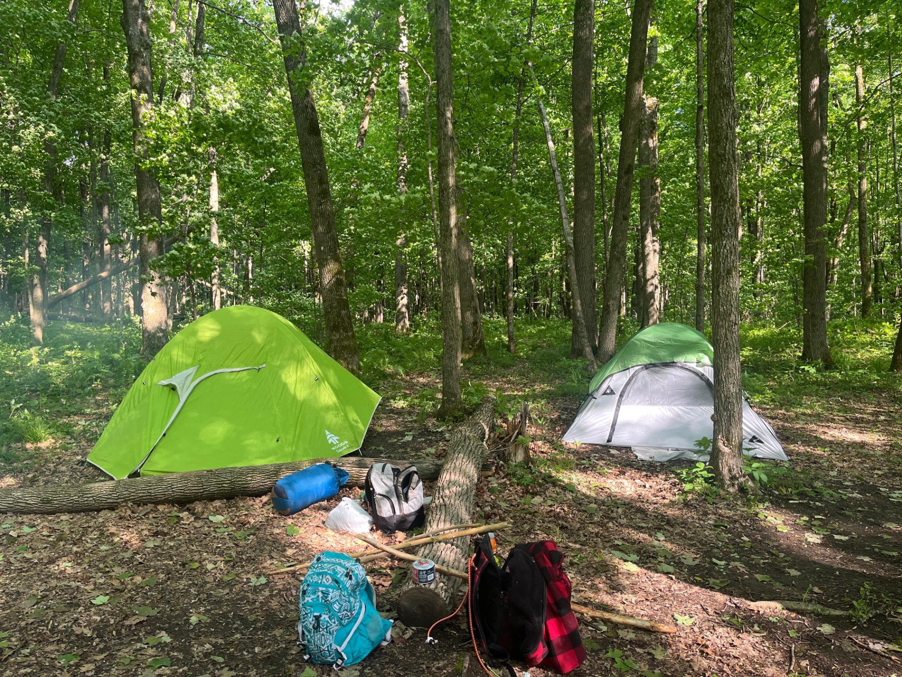 Two tents pitched among the trees at a backcountry campsite